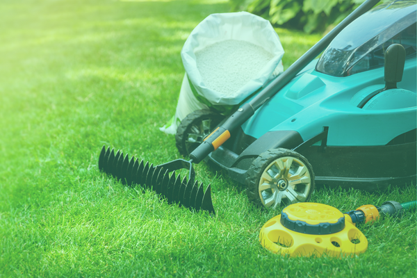 Equipment You Need to Start a Landscaping Business